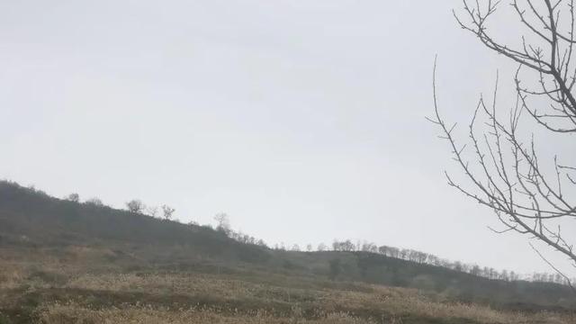 形容好心情的简短句子