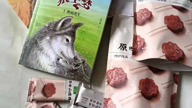 狼王梦的推荐理由怎么写