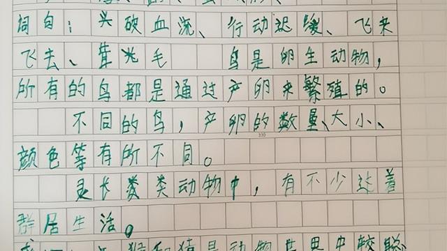 精选笑猫日记模板集合九篇