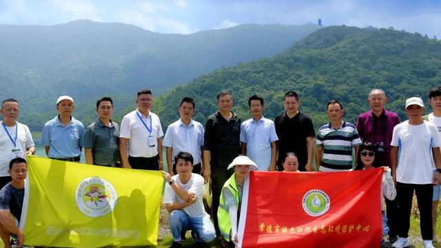 湖南省常德太阳山地区石煤资源地质特征