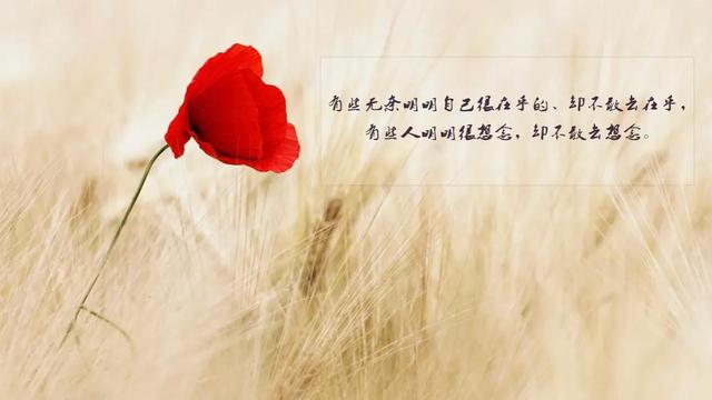 常用文艺伤感句子合集59条