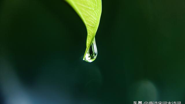 关于谷雨的诗词及赏析
