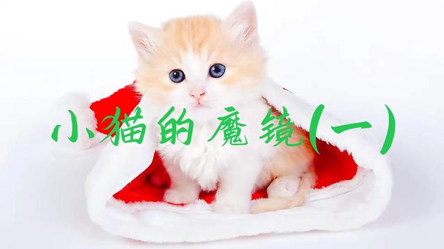 猫的眼睛三年级作文