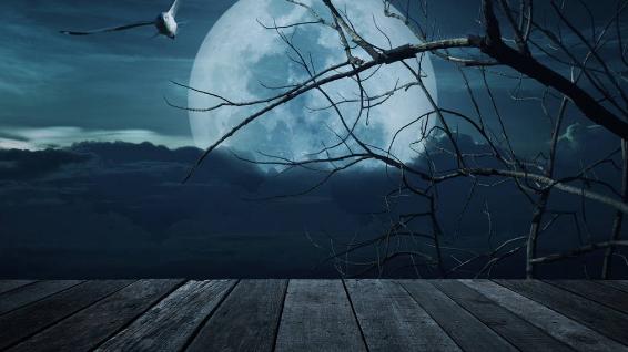 描写黑夜忧伤优美句子