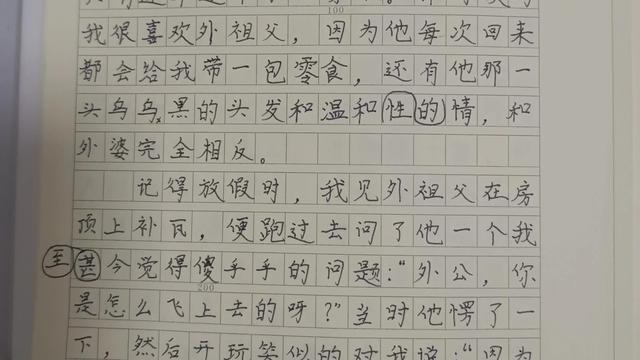 家乡纪事作文