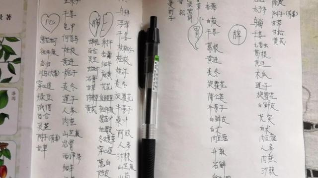 重阳节作文