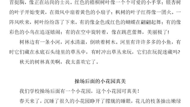 这儿真美小学作文