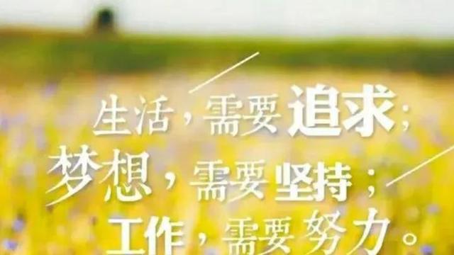 关于挫折的句子摘抄