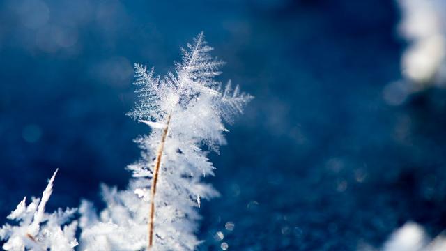 等雪的文案简短