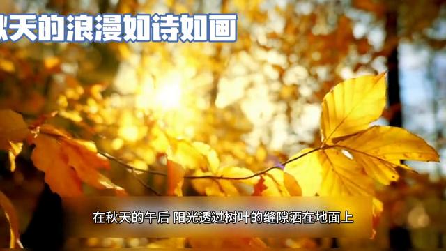 浪漫的季节作文精选