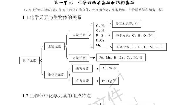 高三生物个人工作总结