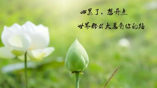 特别伤心的句子
