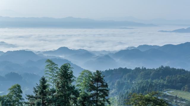 把心安顿好10篇