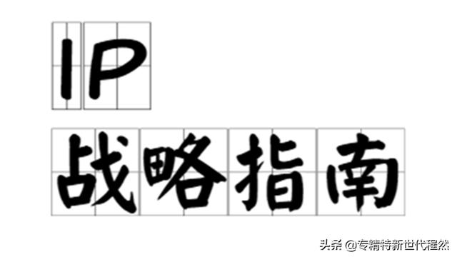 ip是什么意思