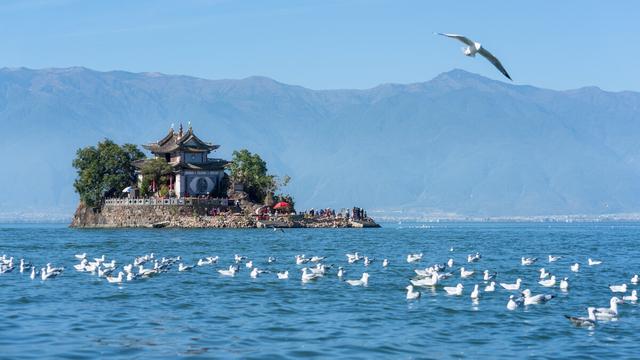 关于青春奋斗励志的句子