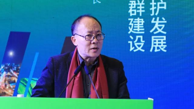 有关绿色的演讲稿