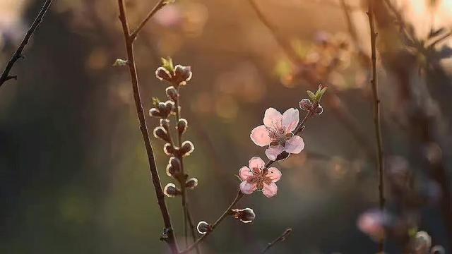 清明节教师国旗下演讲稿精选