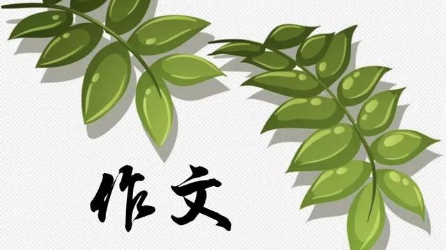 我学会了做饭作文四年级