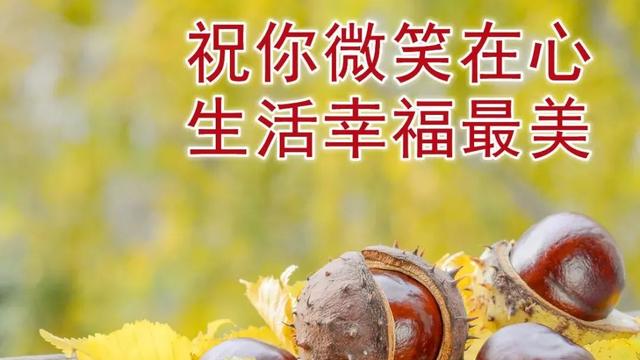 十二月你好的暖心问候语