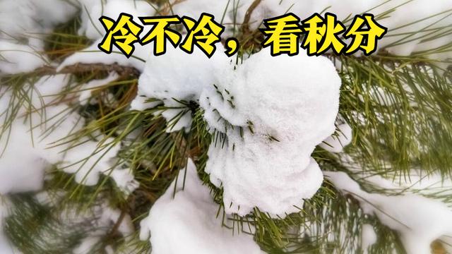 今年的立冬是几月几号几分开始