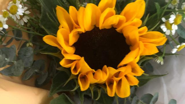 立春主题文案精选