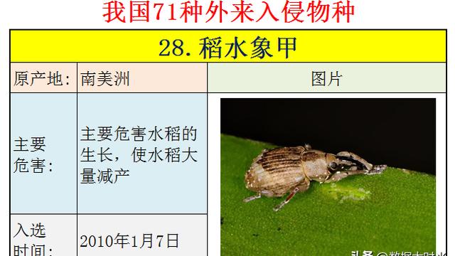 外来有害生物