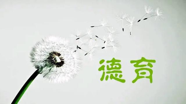 用师爱哺育学生茁壮成长