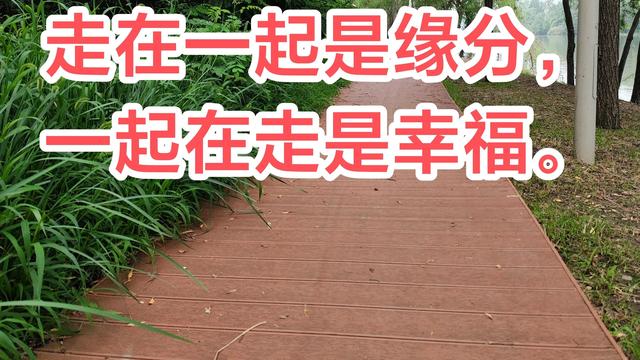 感谢相遇的唯美句子合集