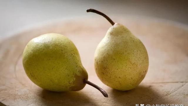 介绍植物的作文300字