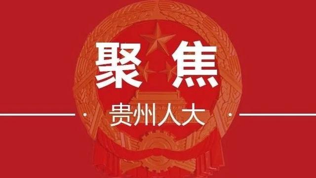 学宪法心得体会