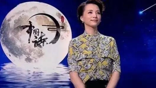 中国诗词大会观后感作文450字
