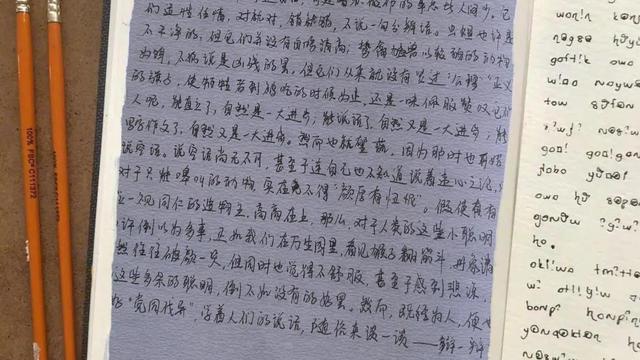 朝花夕拾狗猫鼠精彩片段摘抄