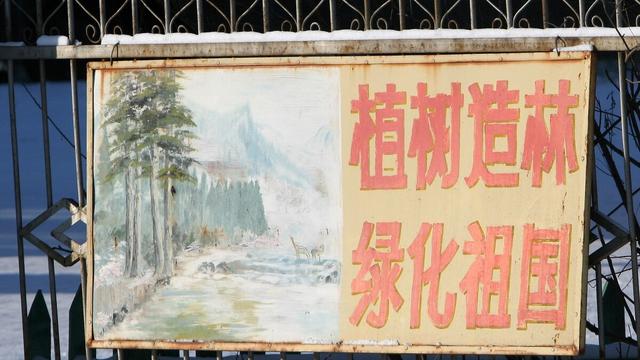 举办植树节活动的策划方案