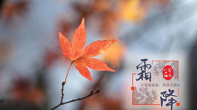 霜降节气的特点和风俗最新