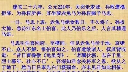惊鸿主题的作文