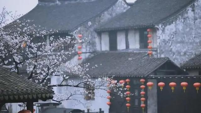 关于春雨的诗句有