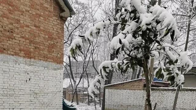 感谢师恩10篇