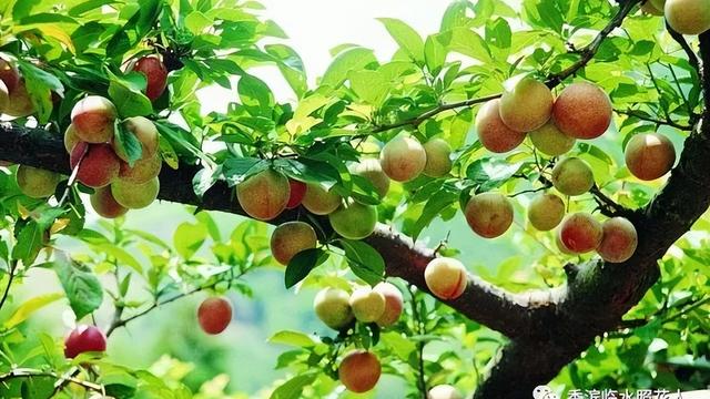 【推荐】二年级秋天作文合集五篇