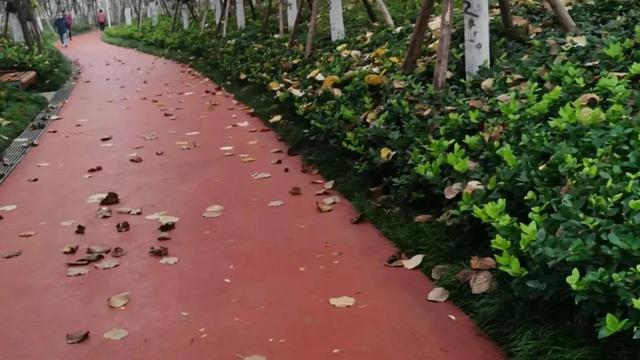 核酸检测培训个人总结精选