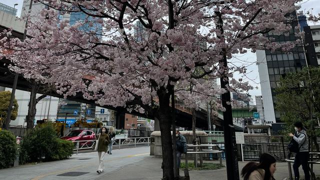 日企辞职报告10篇