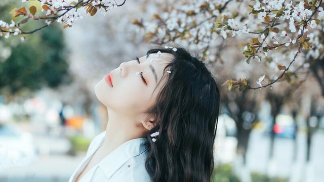 梨花的诗句经典唯美
