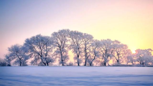 描写冬雪的诗句10篇