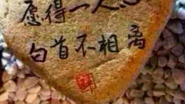 爱情名言诗句大全