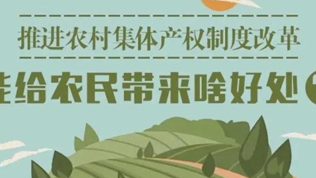 集体林权制度改革10篇