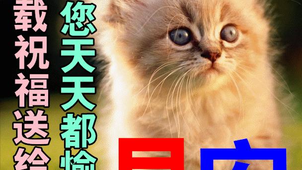 【精华】祝好心情的早安朋友圈问候语摘录