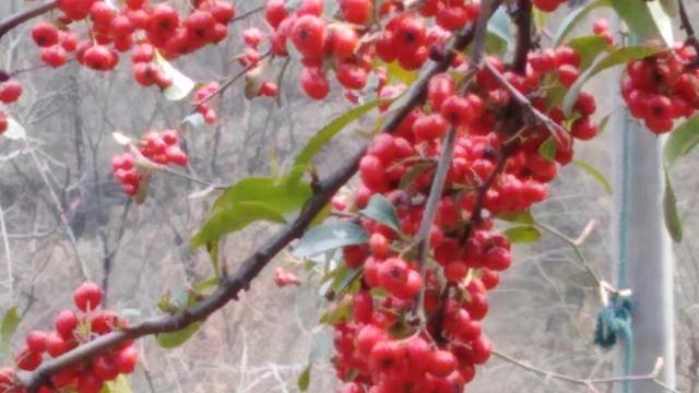 赞美老师的格言10篇