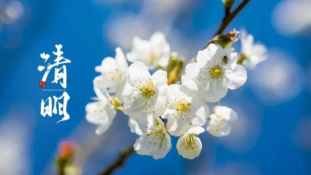 清明节古诗词名句短句