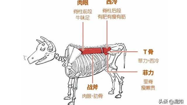 牛排的种类等级划分