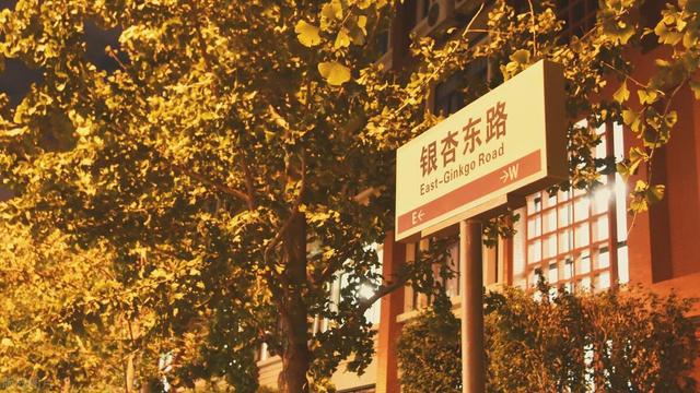 医学检验技术10篇