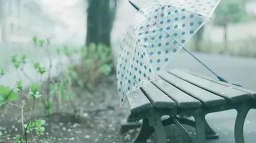雨从天上落下来的优美句子